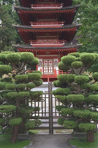 Der Japanese Tea Garden im Golden Gate Park